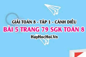 Giải bài 5 trang 79 Toán 8 Tập 1 SGK Cánh Diều